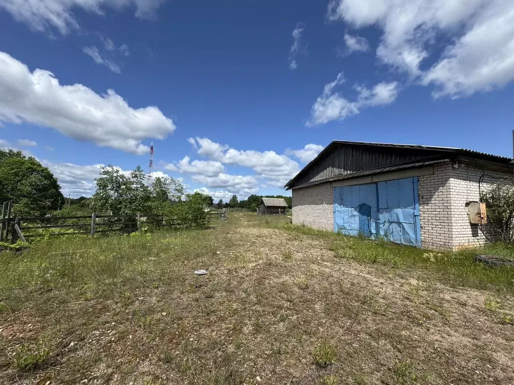 Участок в Новгородская область, Демянский муниципальный округ, с. ... - Фото 2