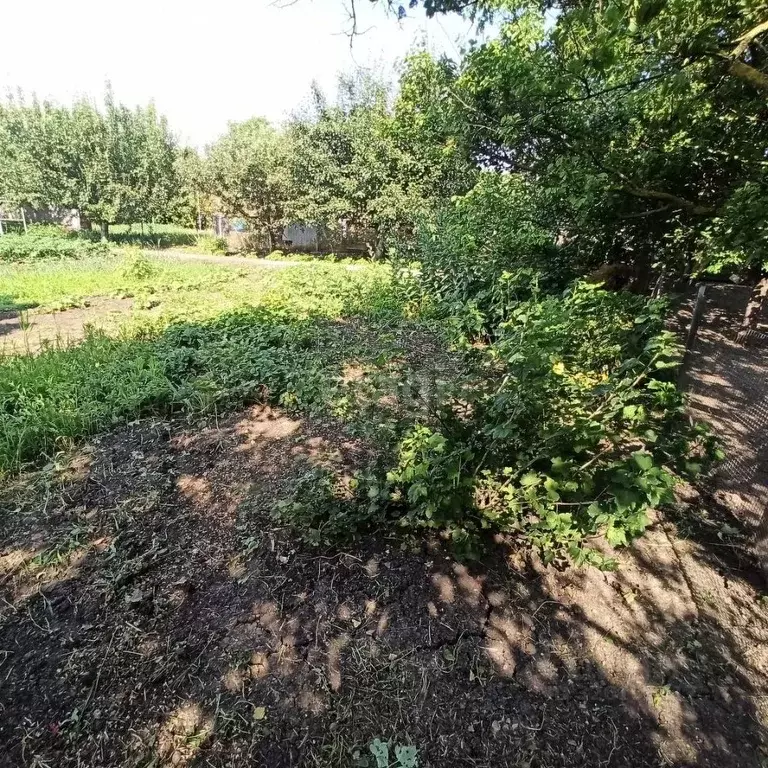 Участок в Краснодарский край, Ейский район, Александровское с/пос, с. ... - Фото 2