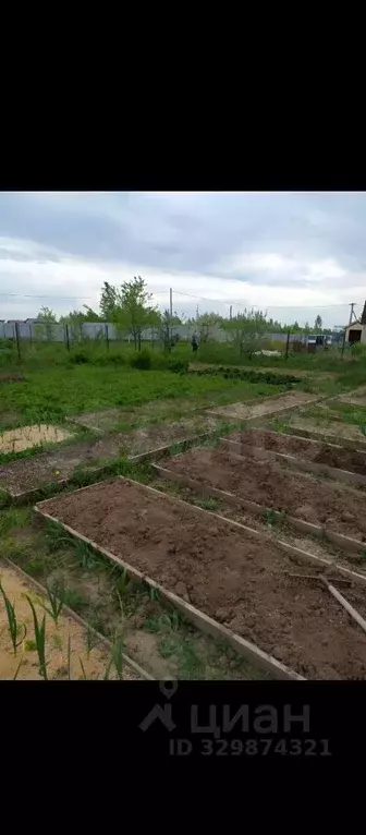 Участок в Нижегородская область, Богородский муниципальный округ, д. ... - Фото 1