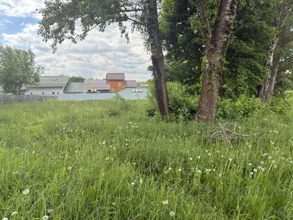 Участок в Московская область, Пушкинский городской округ, с. ... - Фото 1