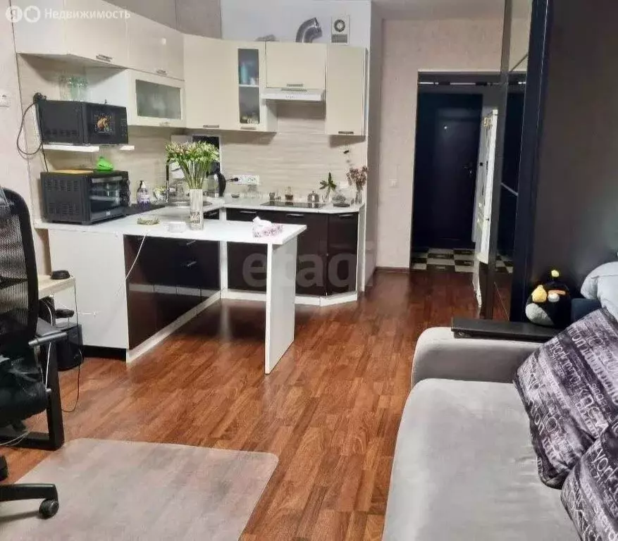 Квартира-студия: Мурино, проспект Авиаторов Балтики, 13 (26.6 м) - Фото 2