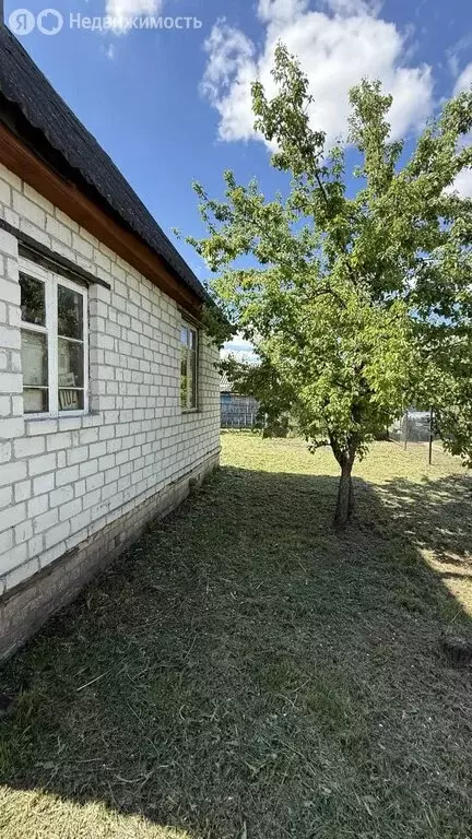Дом в Брянск, садоводческое общество Мичуринец (42 м) - Фото 2