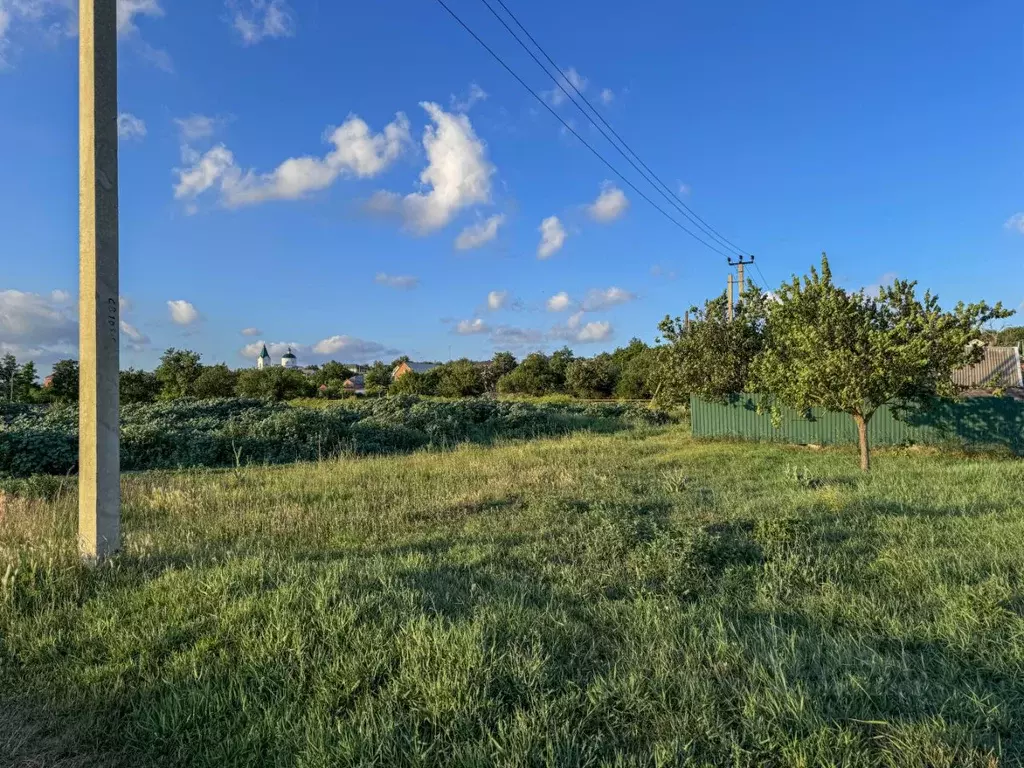 Участок в Ростовская область, Неклиновский район, с. Николаевка ул. ... - Фото 0