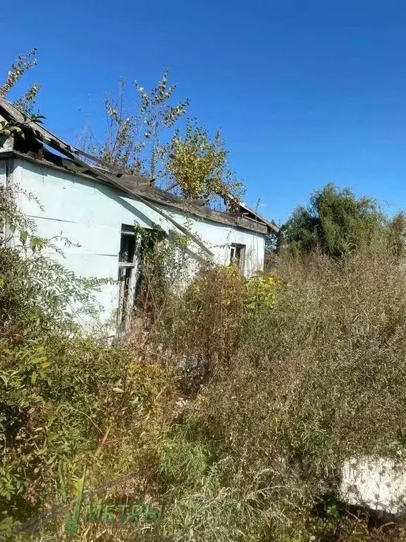 Дом в Приморский край, Артем ул. Менжинского, 7 (58 м) - Фото 1