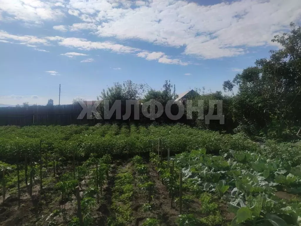 Дом в Хакасия, Усть-Абакан рп ул. Строительная (179 м) - Фото 2