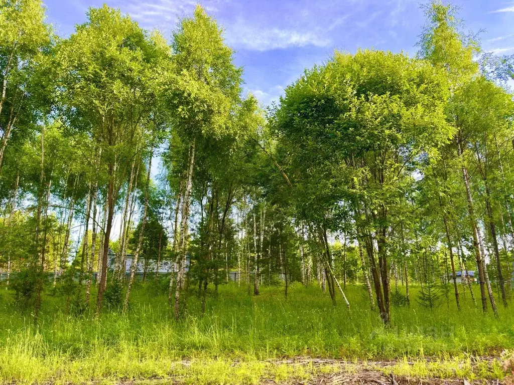 Участок в Московская область, Ступино городской округ, Кравцово-3 тер. ... - Фото 2