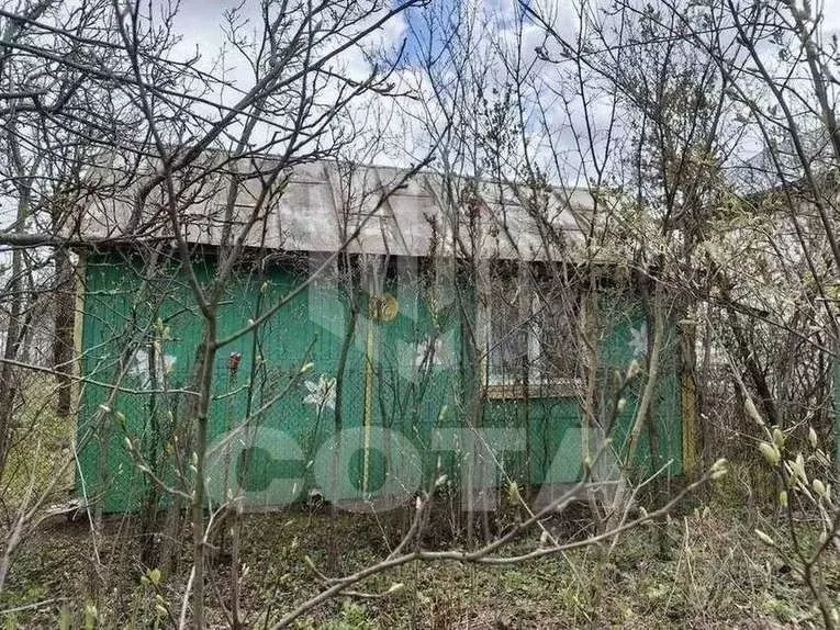 Дом в Воронежская область, Воронеж Радист СНТ,  (27 м) - Фото 2