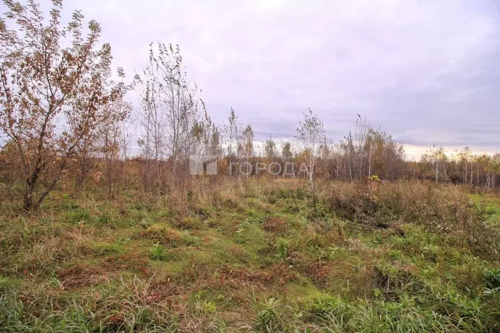 Участок в Алтайский край, Первомайский район, с. Санниково, Солнечный ... - Фото 2
