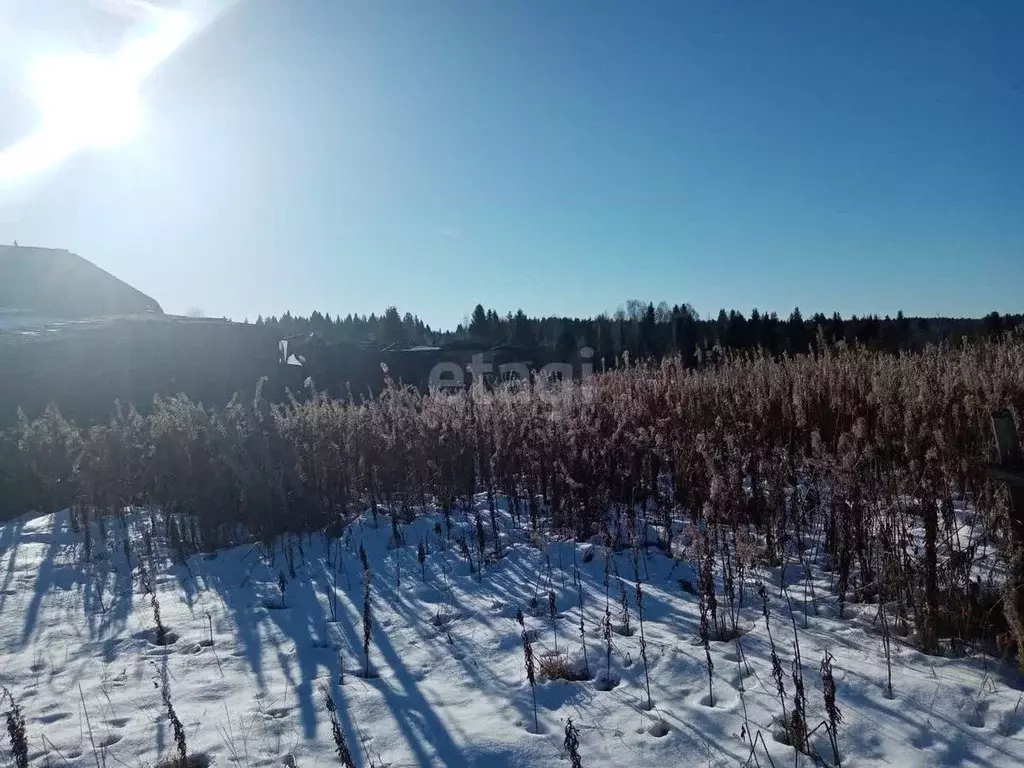 Участок в Свердловская область, Нижний Тагил городской округ, д. ... - Фото 0