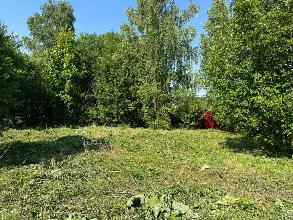 Участок в Московская область, Коломна городской округ, д. Апраксино ... - Фото 1