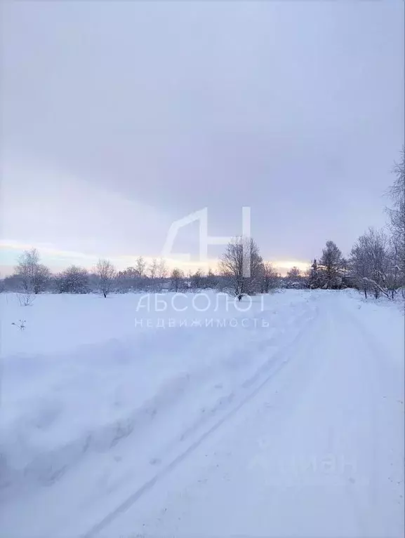 Участок в Московская область, Краснозаводск Сергиево-Посадский район, ... - Фото 2