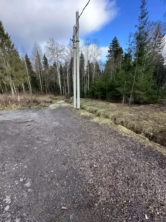 Участок в Московская область, Дмитровский городской округ, Ольшаны кп ... - Фото 0