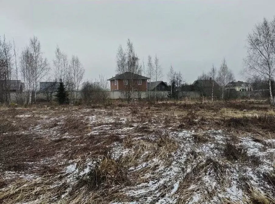 Участок в Московская область, Чехов муниципальный округ, с. Молоди  ... - Фото 0