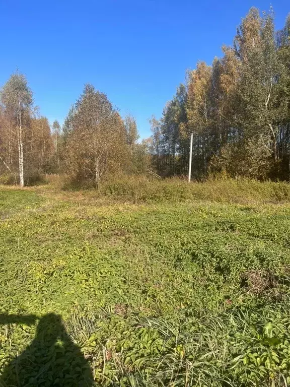 Участок в Владимирская область, Киржачский муниципальный округ, ... - Фото 1