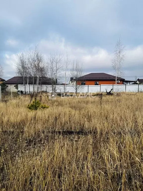 Участок в Воронежская область, Рамонский район, Новоживотинновское ... - Фото 1