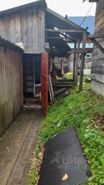 Дом в Алтай, Горно-Алтайск ул. Некорякова (32 м) - Фото 2