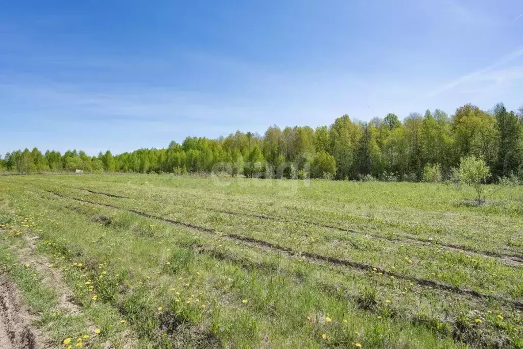 Участок в Пермский край, Пермский муниципальный округ, д. Одина  (15.0 ... - Фото 2