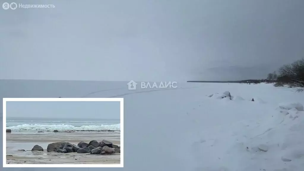 Участок в Ярославская область, Рыбинский муниципальный округ, деревня ... - Фото 2