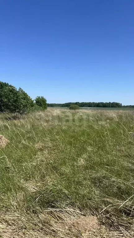 Участок 17 сот. (личное подсобное хозяйство (лпх)) - Фото 0