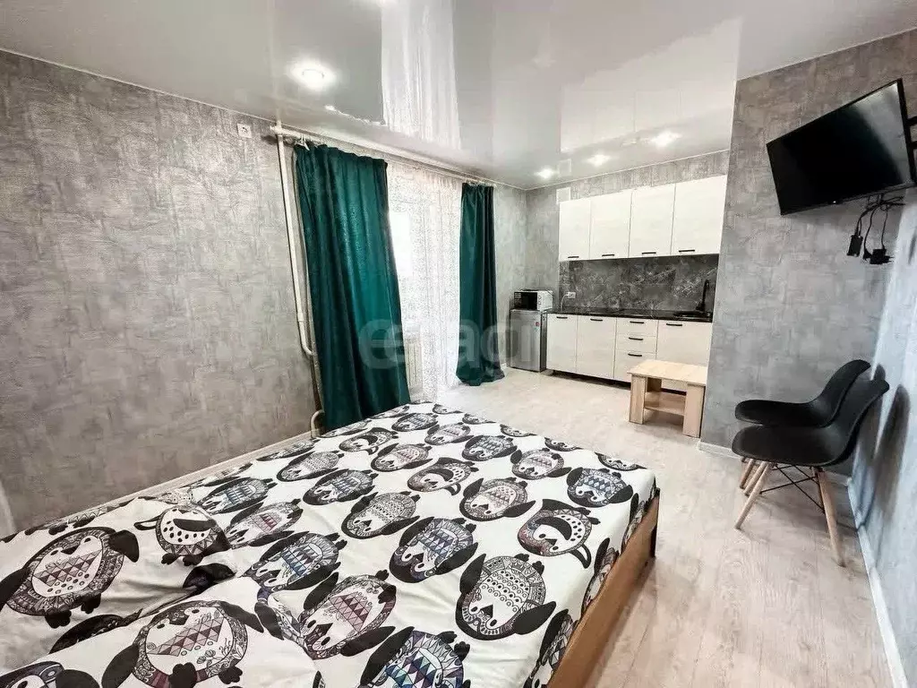 Студия Амурская область, Благовещенск Заводская ул., 4/4 (27.0 м) - Фото 1
