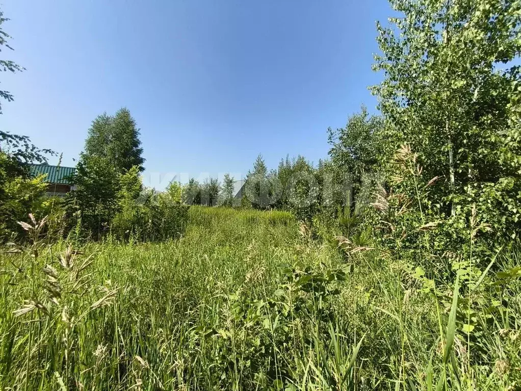 Участок в Новосибирская область, Новосибирск Пашино мкр, ул. ... - Фото 1