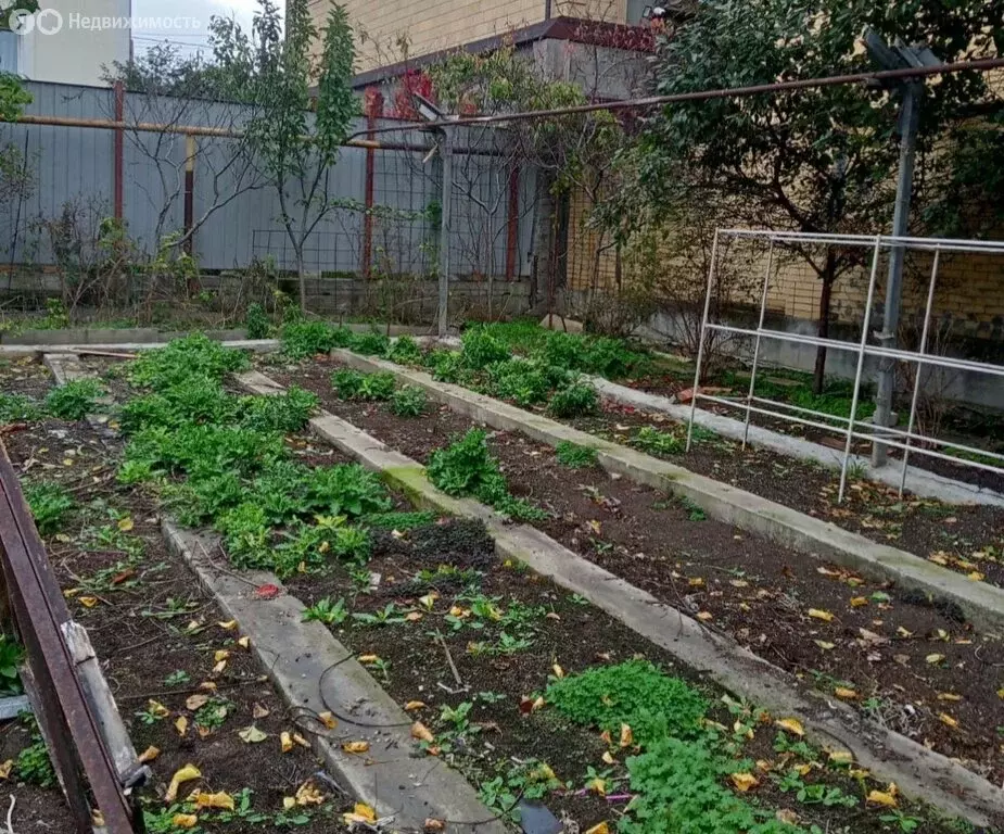 Участок в Смоленск, улица Ленина (6.7 м) - Фото 2