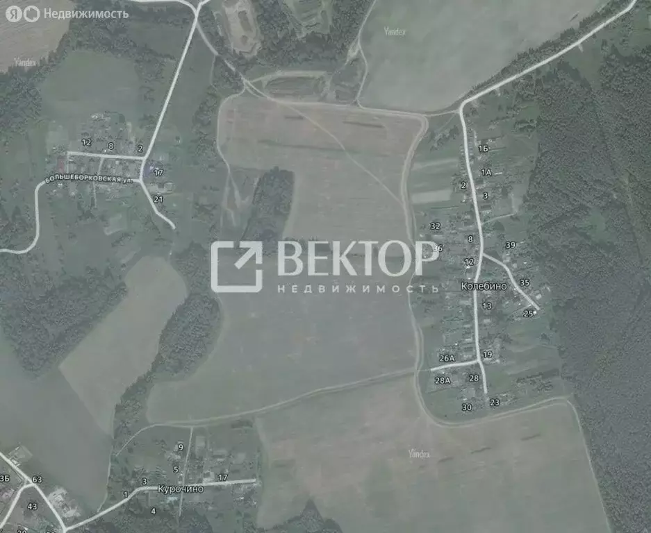 Участок в Костромской район, Шунгенское сельское поселение, деревня ... - Фото 1