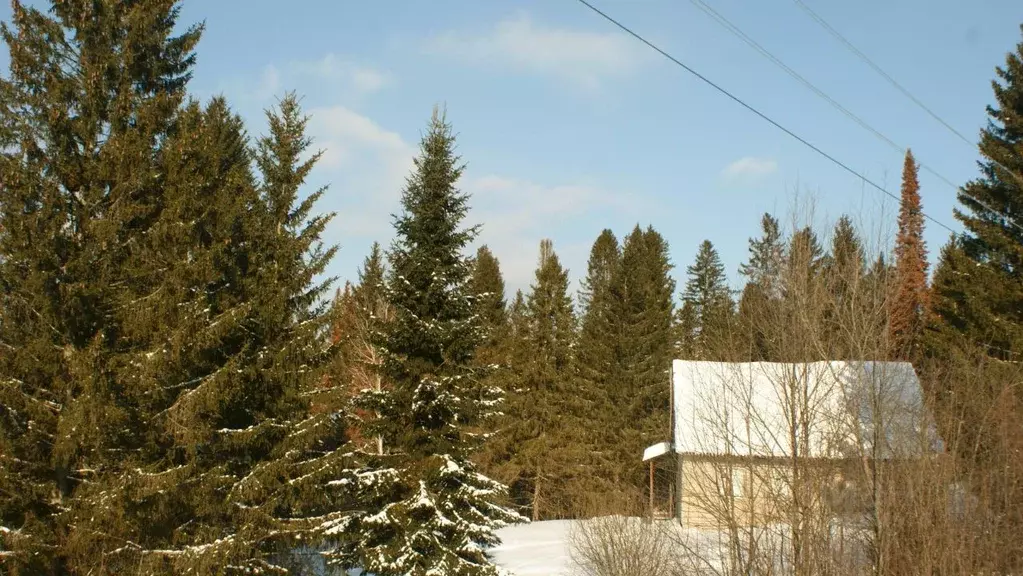Дом в Пермский край, д. Канабеково ул. Нагорная, 11А (120 м) - Фото 1