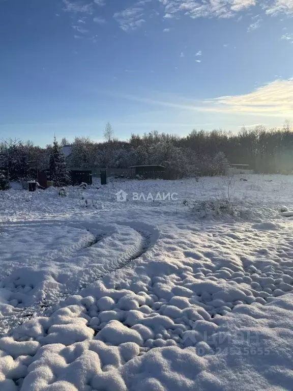 Участок в Владимирская область, Суздальский район, Новоалександровское ... - Фото 2
