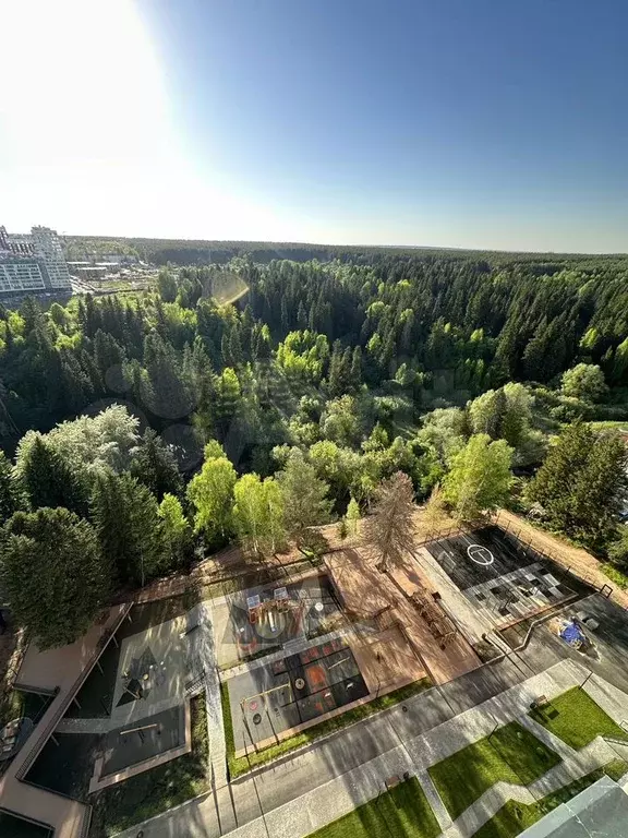 Квартира-студия, 34,6 м, 17/17 эт. - Фото 1