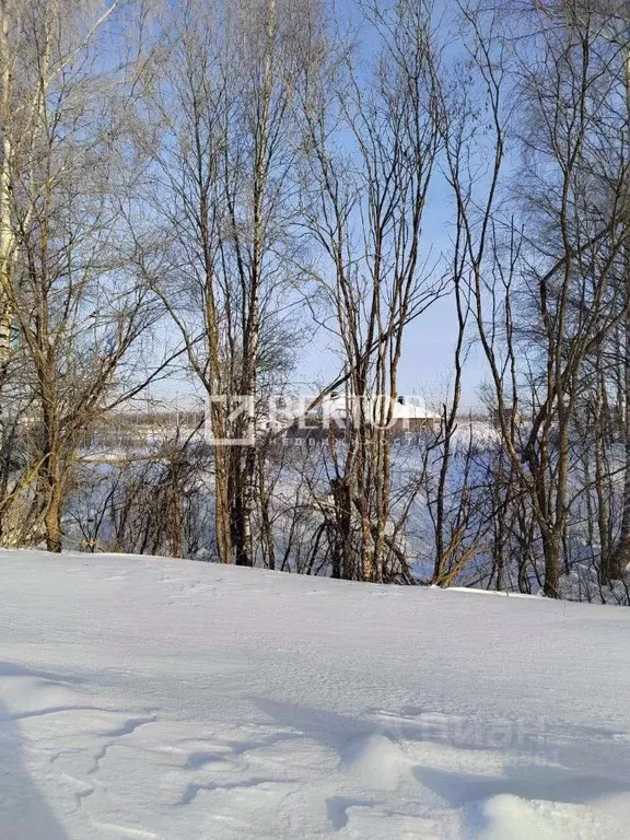 Участок в Костромская область, Кострома Первый кп, проезд Даниловский ... - Фото 2