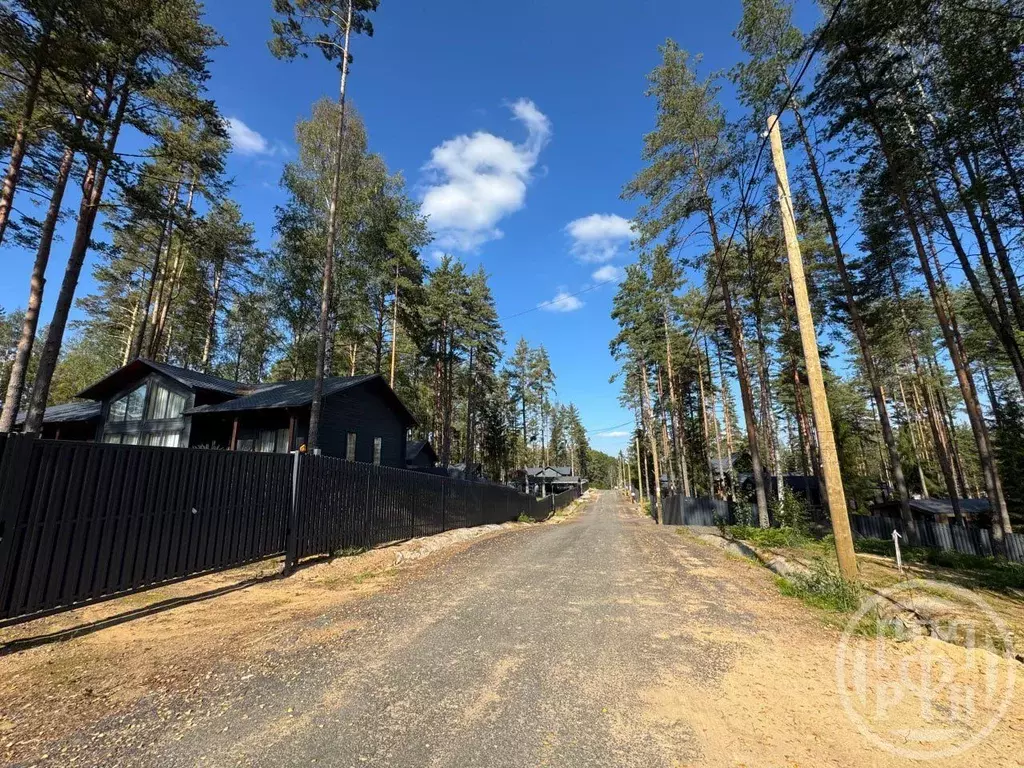 Участок в Ленинградская область, Всеволожский район, Куйвозовское ... - Фото 2