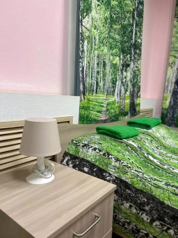 Комната Новгородская область, Великий Новгород Район Торговая сторона, ... - Фото 2