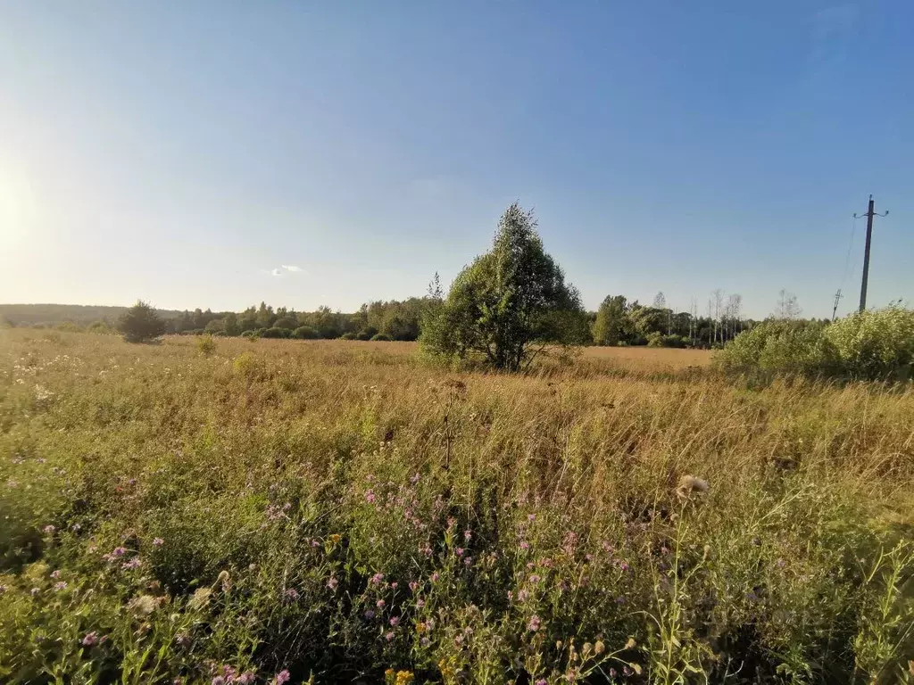 Участок в Ивановская область, Ивановский район, Коляновское с/пос, д. ... - Фото 1