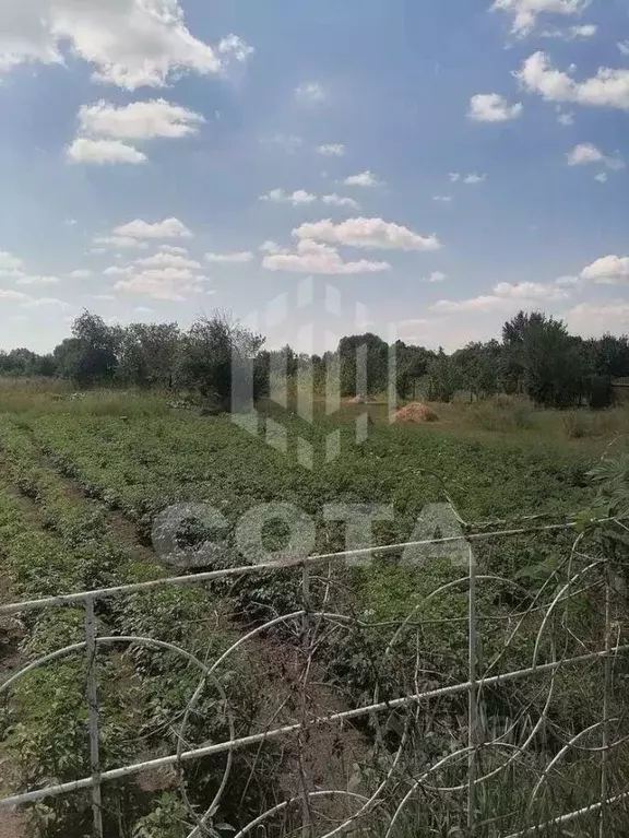 Участок в Воронежская область, с. Новая Усмань ул. Октябрьская (6.01 ... - Фото 2