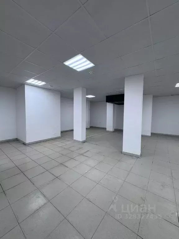 Помещение свободного назначения в Курская область, Курск ул. Кати ... - Фото 1