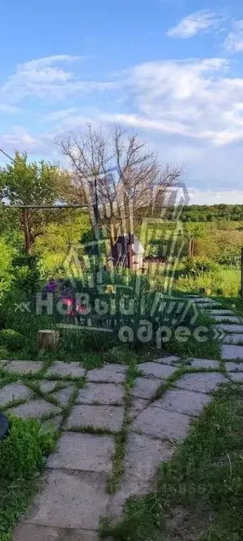 Дом в Воронежская область, Верхнехавский район, с. Углянец ул. ... - Фото 2