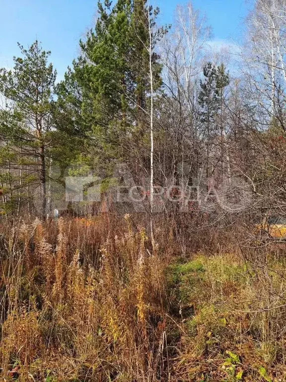 Участок 10 сот. (СНТ, ДНП) - Фото 1