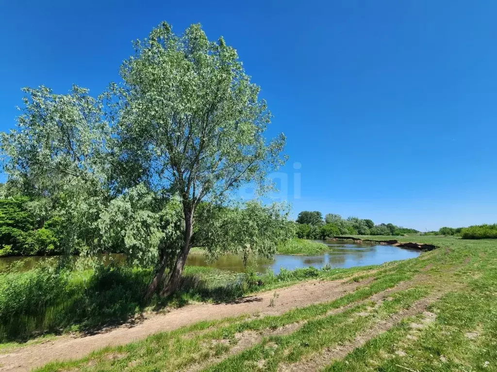 Участок в Башкортостан, Стерлитамакский район, Наумовский сельсовет, ... - Фото 1