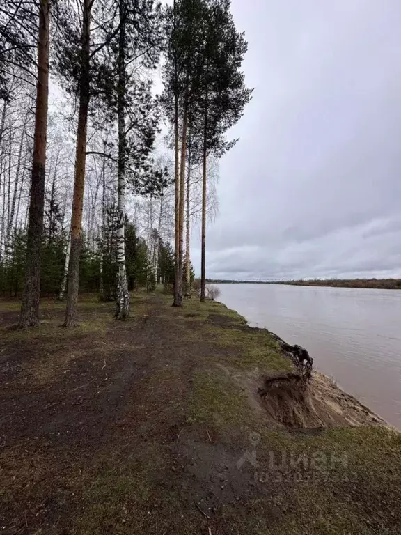 Участок в Кировская область, Юрьянский район, Гирсовское с/пос, ... - Фото 0
