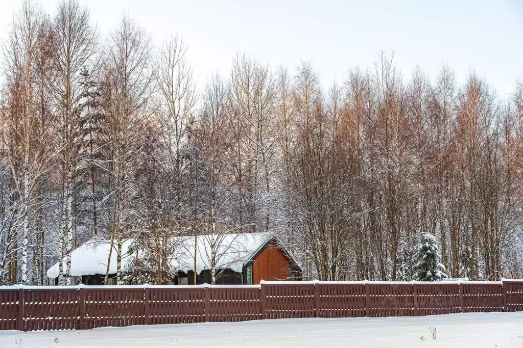 Участок, 11 сот., поселения (ижс) - Фото 1