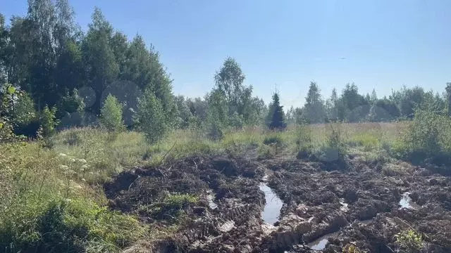 Участок 4,3 сот. (СНТ, ДНП) - Фото 0