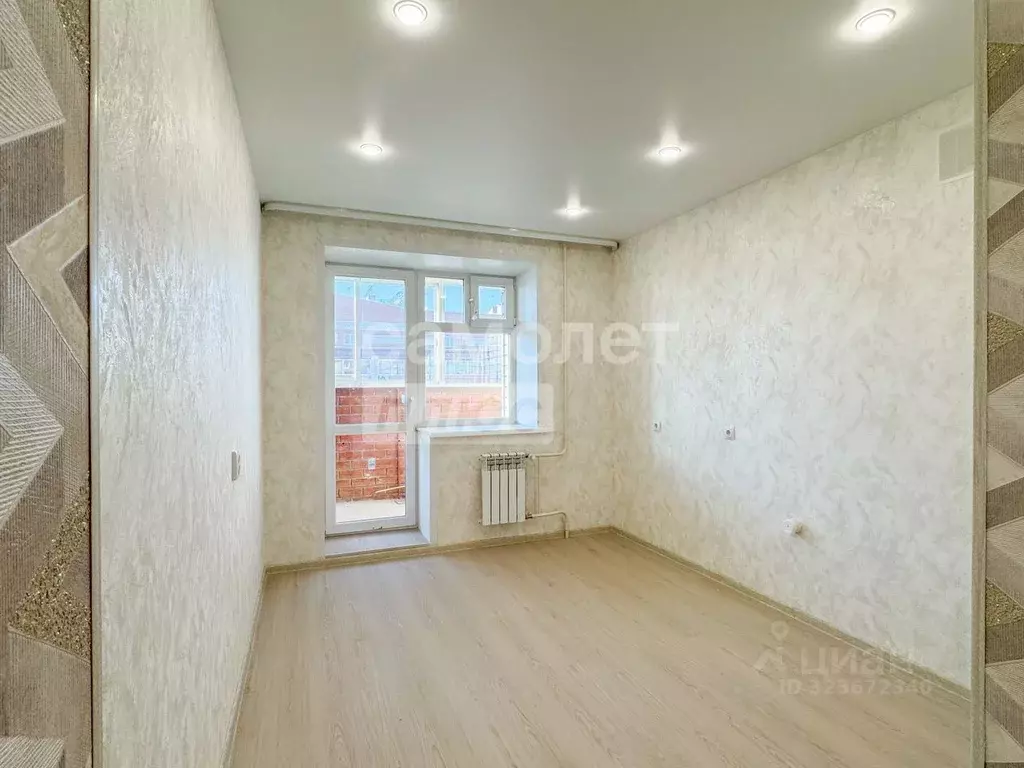 1-к кв. Амурская область, Благовещенский район, с. Чигири ул. ... - Фото 1