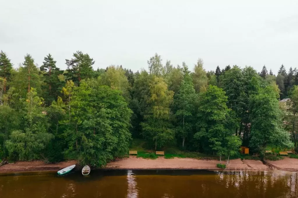 Участок в Ленинградская область, Выборгский район, Приморское ... - Фото 1