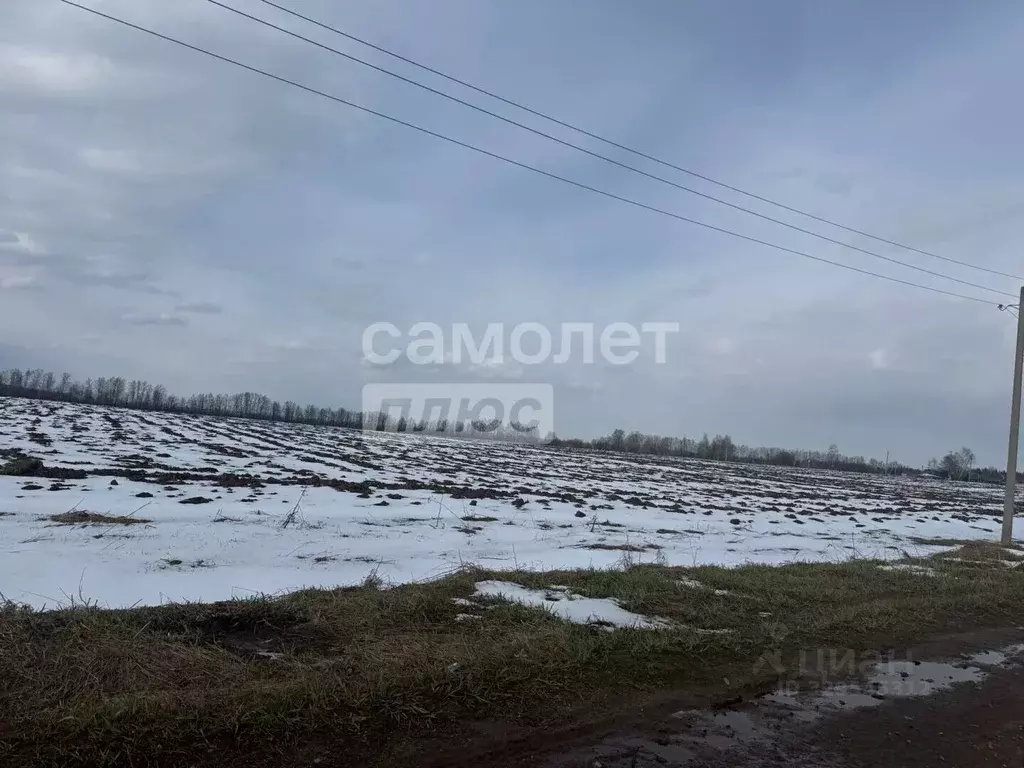 Участок в Марий Эл, Йошкар-Ола городской округ, д. Игнатьево ул. ... - Фото 1