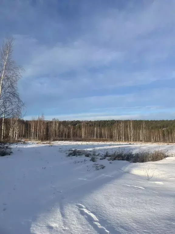 Участок в Красноярский край, Емельяновский район, с. Еловое  (10.0 ... - Фото 0