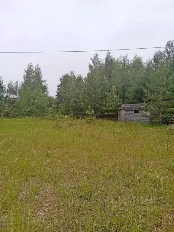 Участок в Владимирская область, Судогодский район, Лавровское ... - Фото 0
