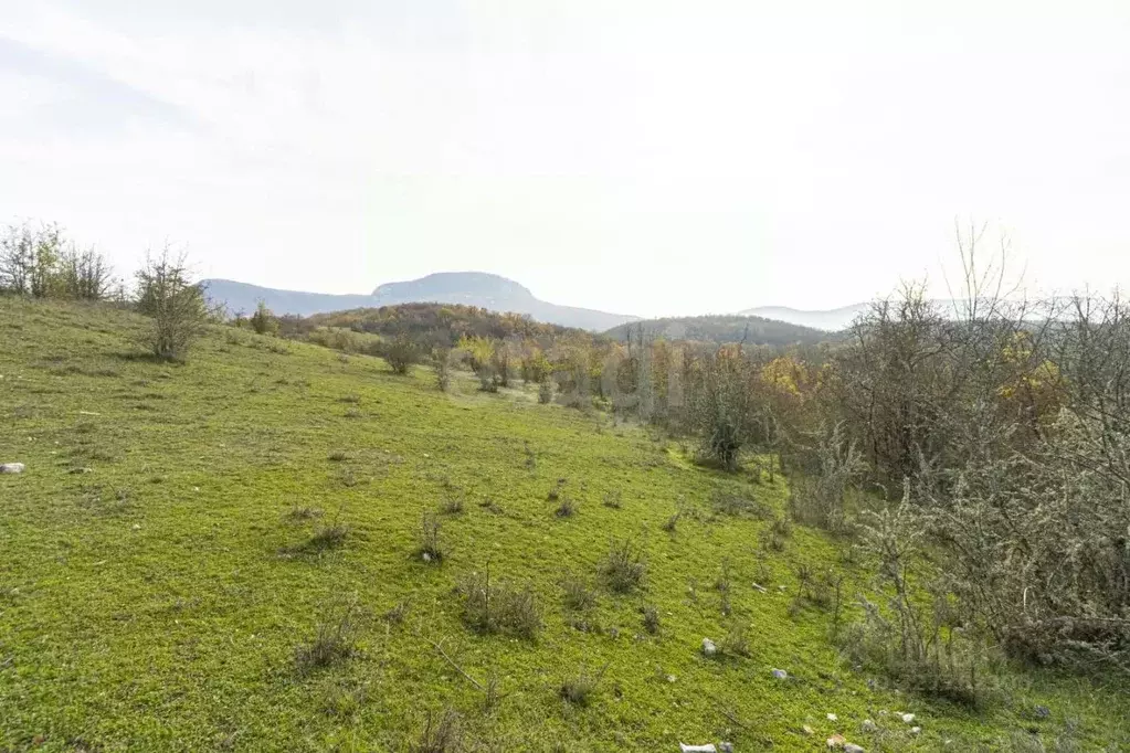 Участок в Крым, Бахчисарайский район, Зеленовское с/пос, с. Плотинное  ... - Фото 1