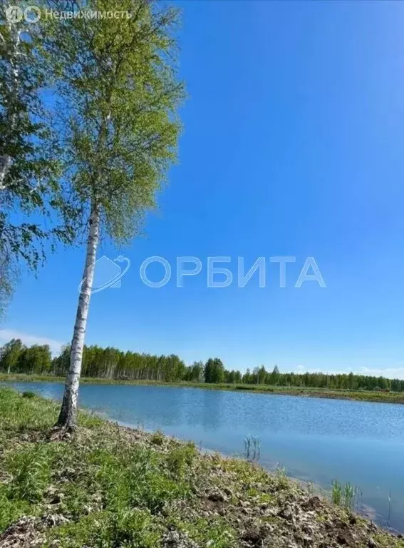 Участок в Исетский район, деревня Решетникова (7 м) - Фото 0