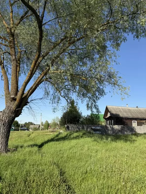 Участок в Нижегородская область, Дивеевский муниципальный округ, с. ... - Фото 0